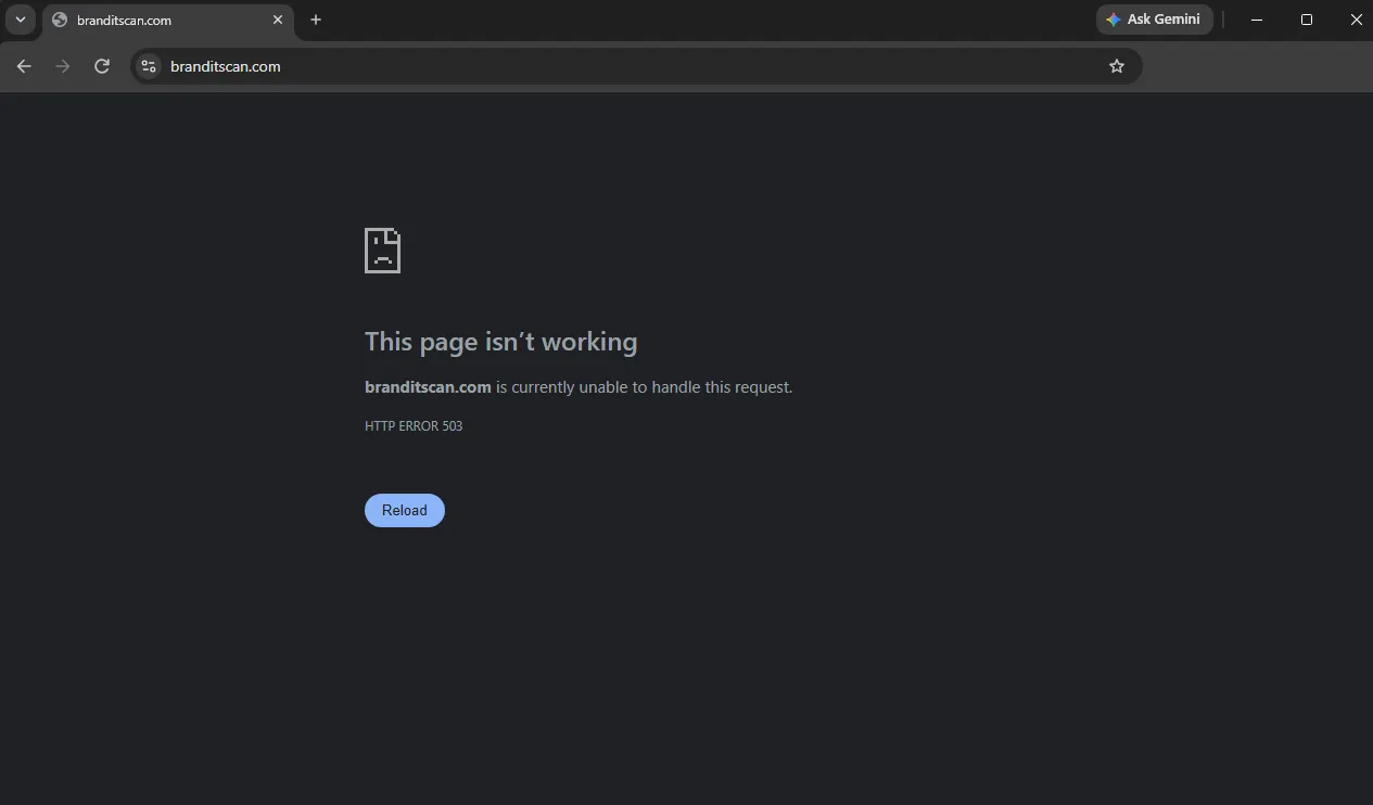 BranditScan’s website being down due to the PHP Vulnerability